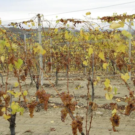 Rupestr ファームステイ *