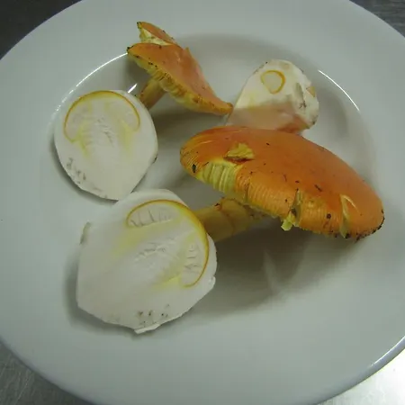 Rupestr ファームステイ カネッリ