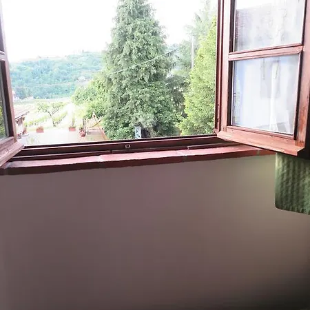 Rupestr *